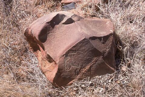 Open original Digital object