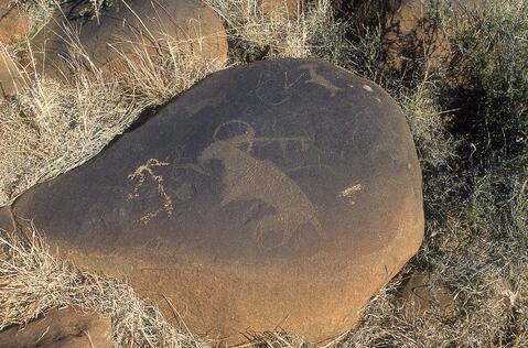 Open original Digital object