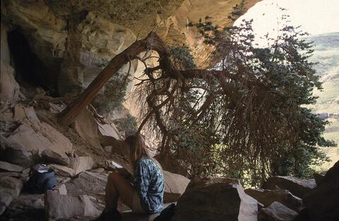 Open original Digital object