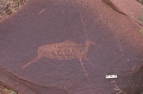 Open original Digital object