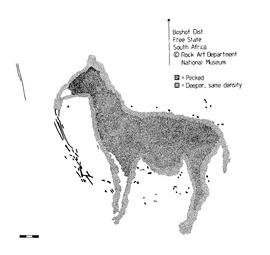 NASMUS RSA STO1 2R