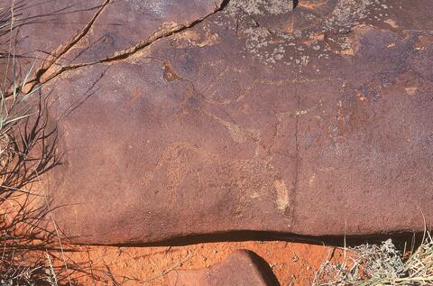 Open original Digital object