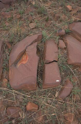 Open original Digital object