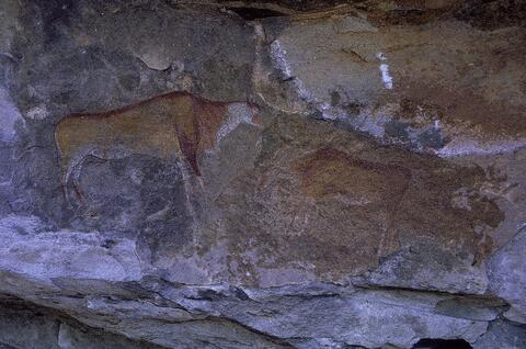 Open original Digital object