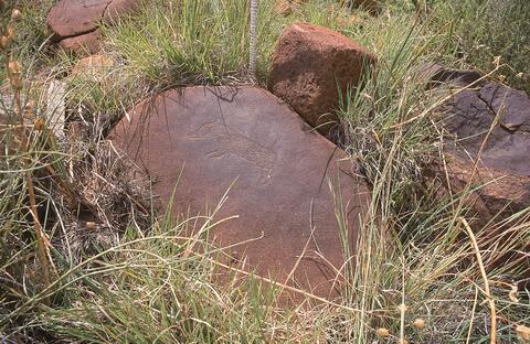 Open original Digital object