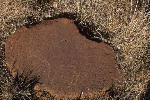 Open original Digital object