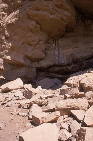 Open original Digitaal object