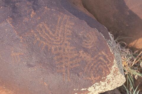 Open original Digital object