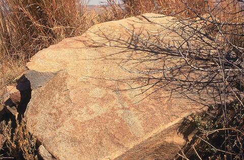 Open original Digital object