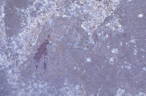 Open original Digitaal object