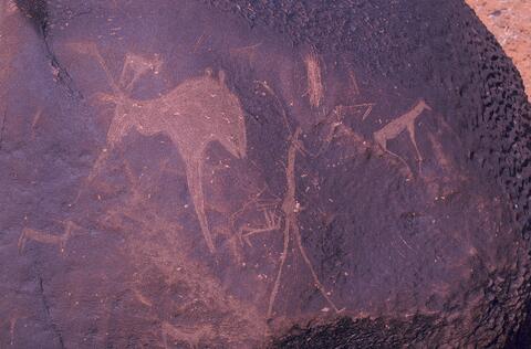 Open original Digital object