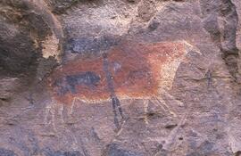 NASMUS RSA HAE1 27