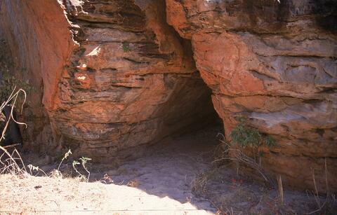 Open original Digital object