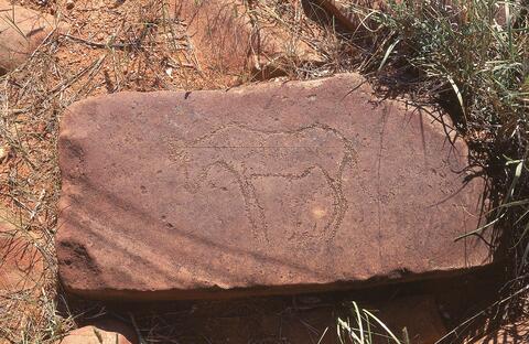 Open original Digital object