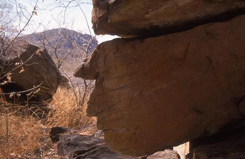 Open original Digital object