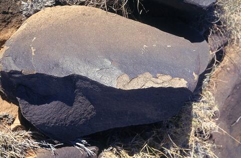 Open original Digital object