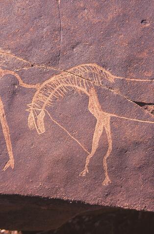 Open original Digitaal object