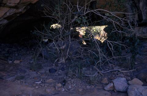 Open original Digital object