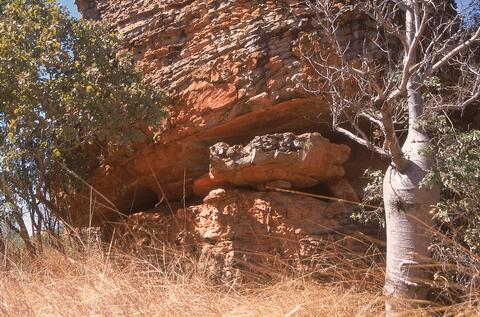 Open original Digital object