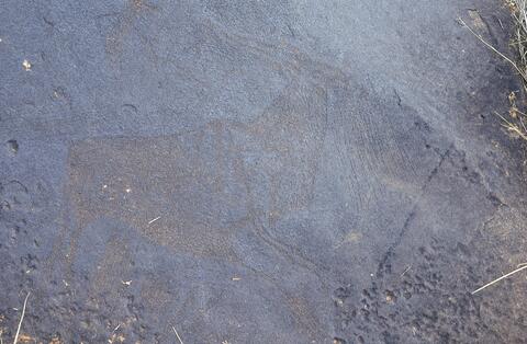 Open original Digitaal object