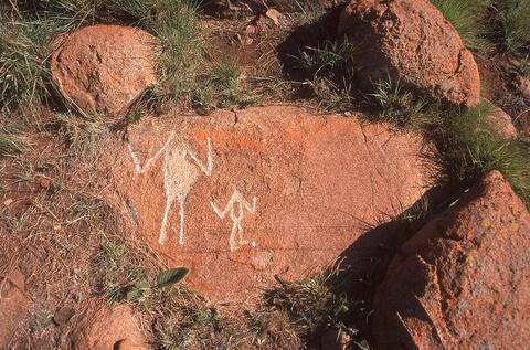 Open original Digital object