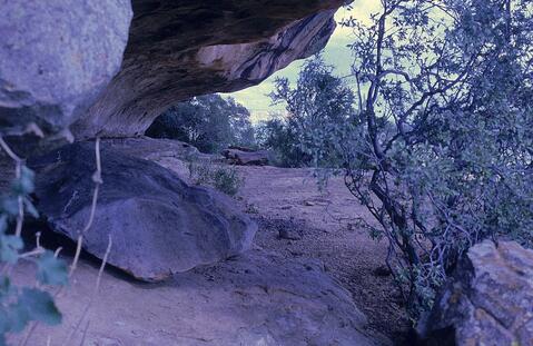 Open original Digital object