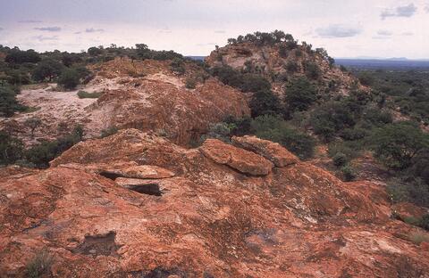 Open original Digital object