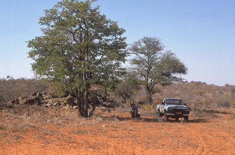 Open original Digital object