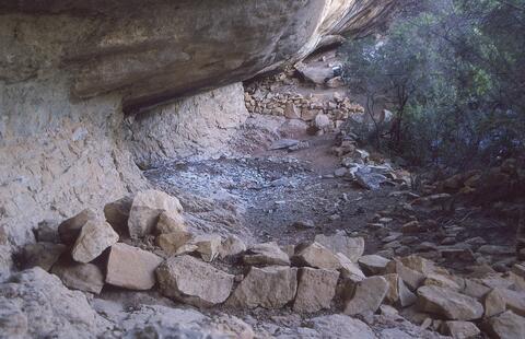 Open original Digital object