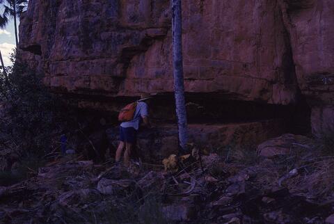 Open original Digital object