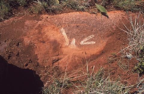 Open original Digital object