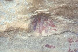 NASMUS RSA VRD1 14
