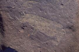 NASMUS RSA STO1 73