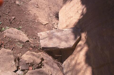 Open original Digital object