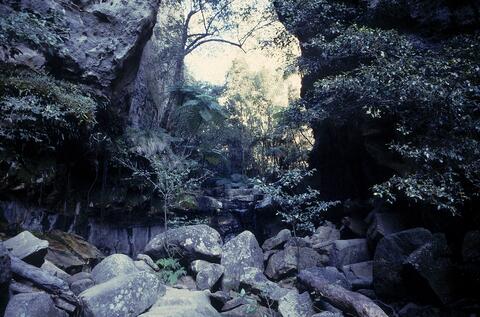 Open original Digital object