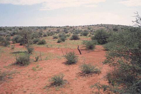 Open original Digitaal object