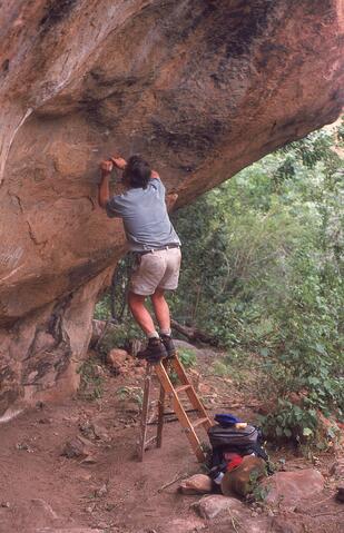 Open original Digital object