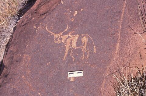 Open original Digital object