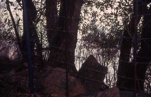 Open original Digitaal object