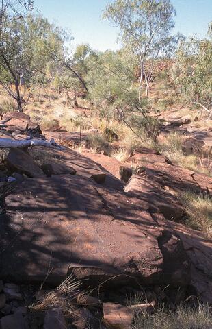 Open original Digital object