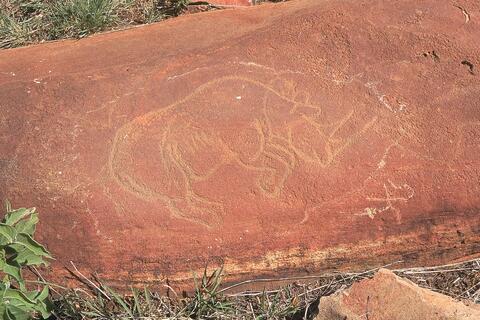 Open original Digital object