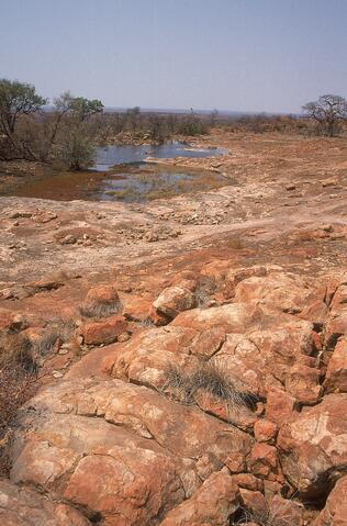 Open original Digitaal object