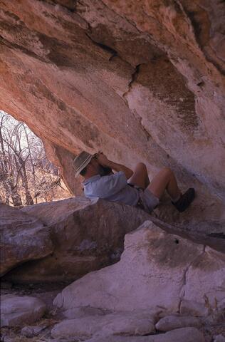 Open original Digital object