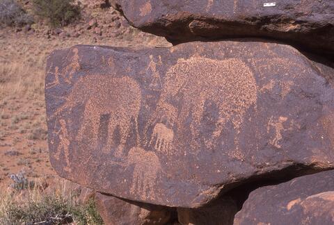 Open original Digital object