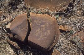 NASMUS RSA STO1 19