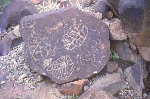 Open original Digital object