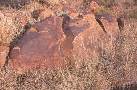 Open original Digital object