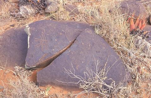 Open original Digital object