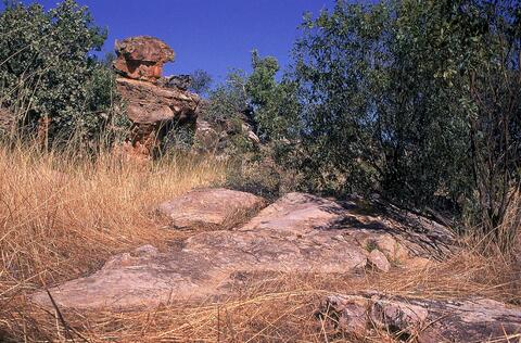 Open original Digital object