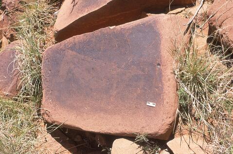 Open original Digital object